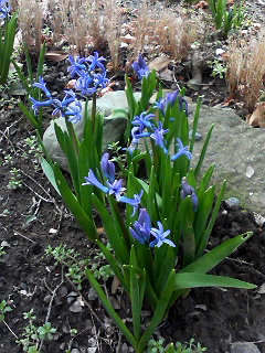 �����å�����