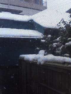 ���󥿡�������Դ�ĥ���