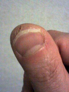 �����줷����Υ��åפǤ��ߤޤ���