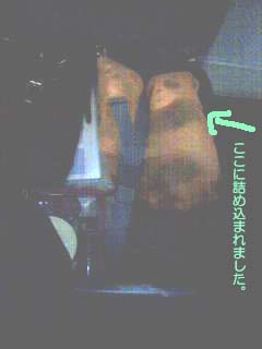 �ȥ�󥯤β�ʪ�ι�֤ˤ��夦�ä�