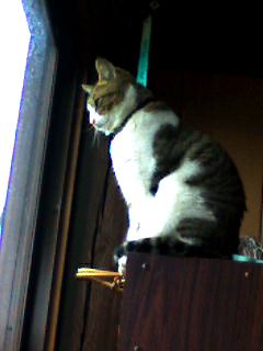 ����ä�����夯����˥�󥯥å����