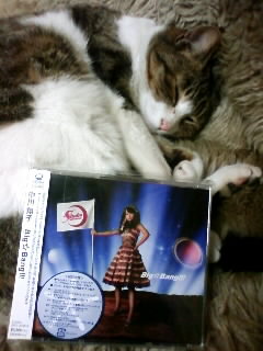 �ޤͤä��Ǥ�����ǭ�˻������Ƥߤ�