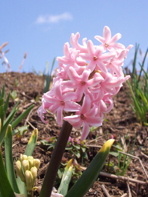 �ڼ�Ǻ餯�ҥ䥷��