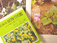 �̳�ƻ��ʪ����޴� - ��β� -