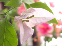 �ƥ����饵��饤���ޤ���