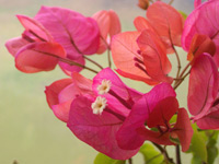 ��꡼�ѡ��ޡ�����