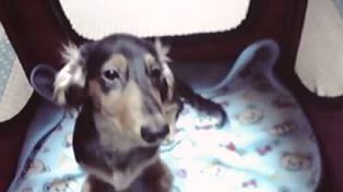 �����᤯��Ƥ�Τϻ��ͤǤ��ʾ�